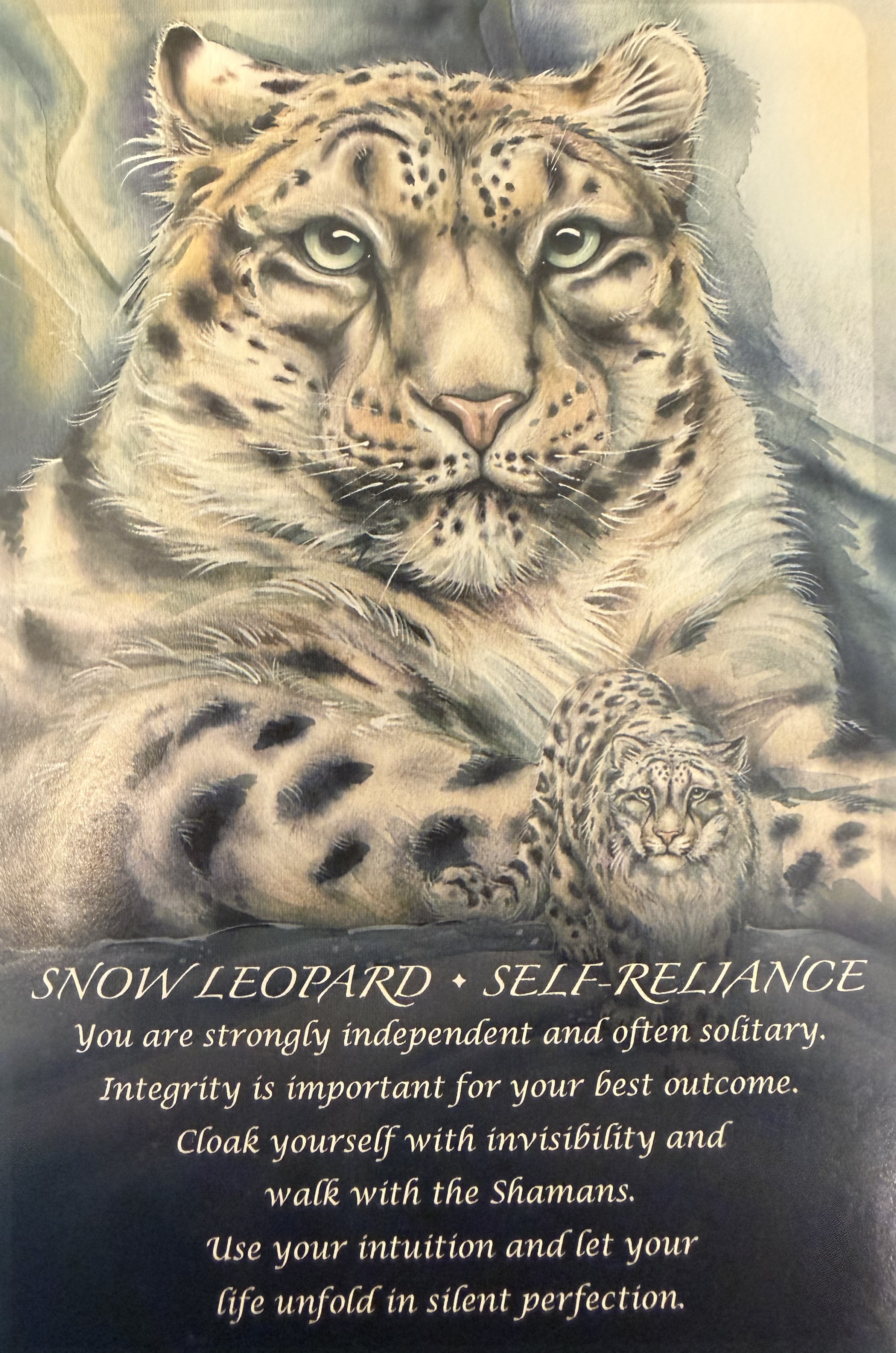 snow leopard