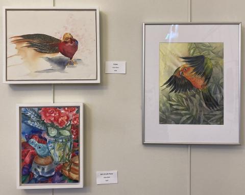 Gallery 11